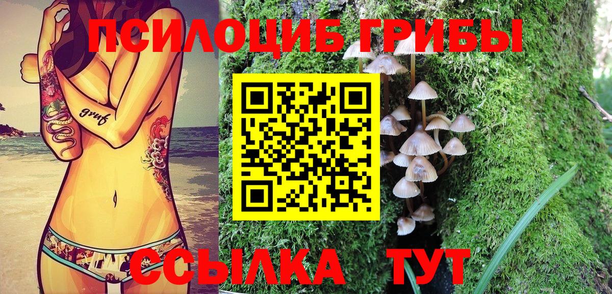 Новозыбков  Псилоцибиновые грибы мицелий  Вход с VPN 