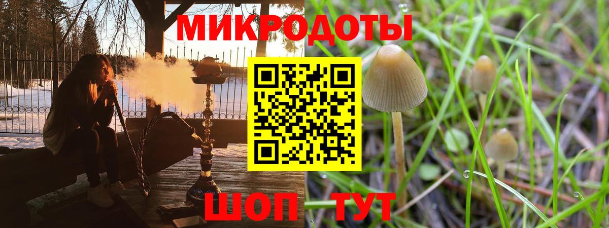 Галлюциногенные грибы ЛСД Новозыбков